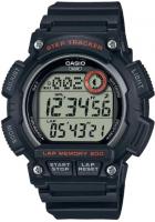 Наручные часы Casio мужские WS-2100H-1AVDF