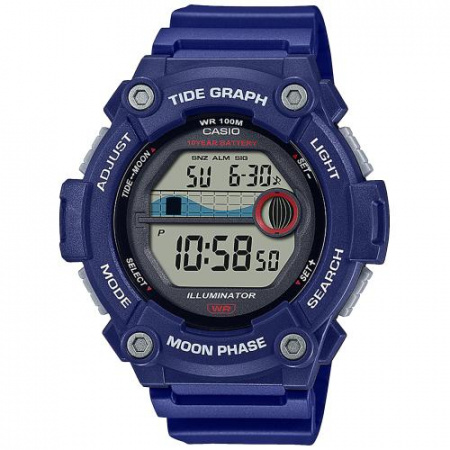 Наручные часы Casio мужские WS-1300H-2AVDF