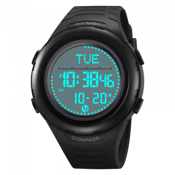 2166black-white Компас